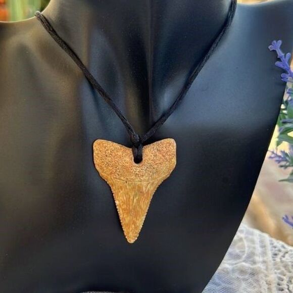 Shark’s Tooth Necklace - Picture 1 of 9